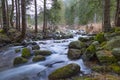 Endless stream. Mountain river in forest. Slovakia Royalty Free Stock Photo